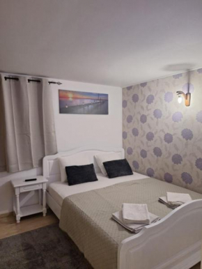 Vila Ris Piata Romana